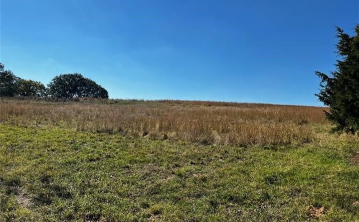 Pictures of Land property located at 11247 S Buckholt, Caddo, OK 74729 for sales - image #1