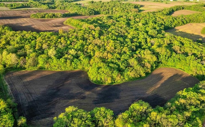 Pictures of Land, Special Purpose property located at State Highway DD Highway, Pattonsburg, MO 64670 for sales - image #1