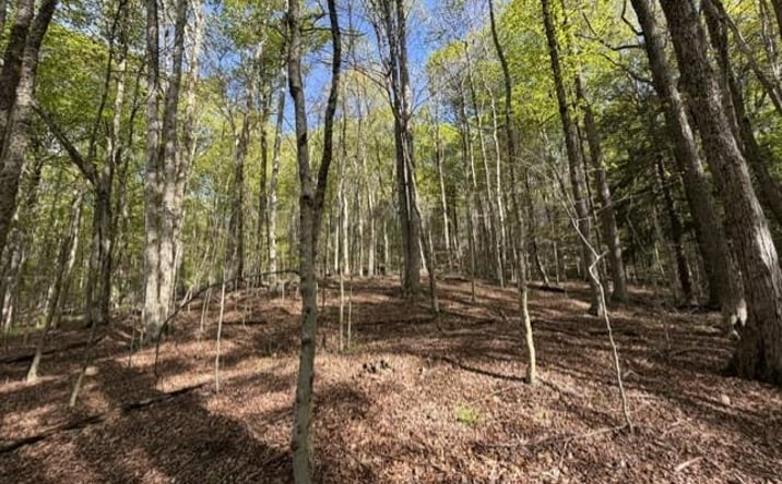Pictures of Land property located at Glenwild Drive, Bethel, NY 12720 for sales - image #1