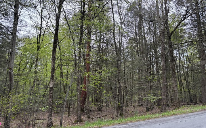 Pictures of Land, Multifamily property located at Braden Road, Wawarsing, NY 12763 for sales - image #1