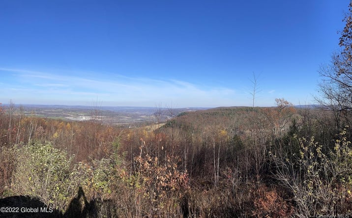 Pictures of Land, Special Purpose property located at L26 & L27 Ecker Hollow Road, Cobleskill, NY 12043 for sales - image #1