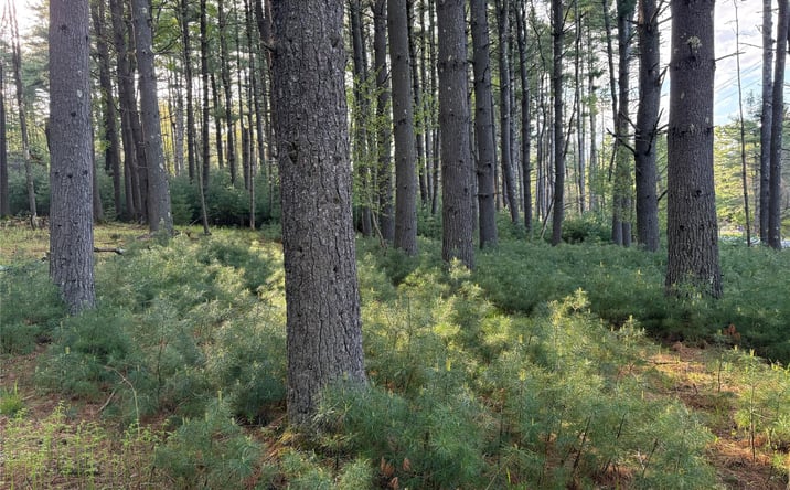 Pictures of Land, Multifamily property located at Airport Road, Highland, NY 12528 for sales - image #1