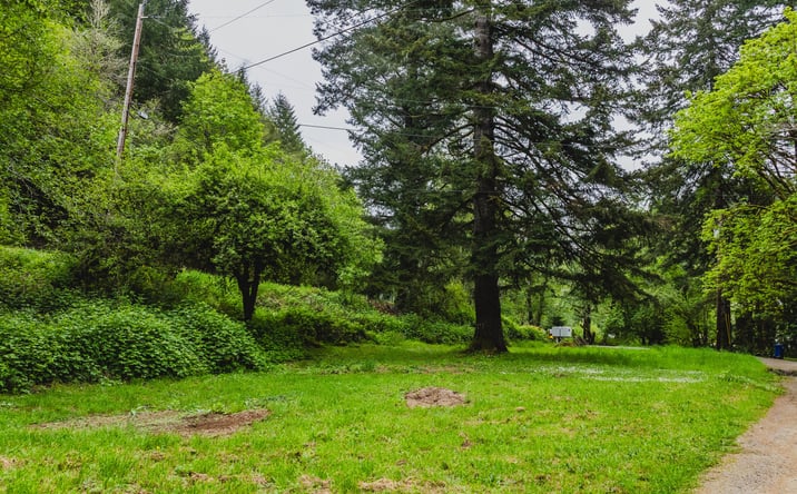 Pictures of Land, Multifamily, Mixed Use, Office, Special Purpose, Retail property located at TL01100 N New Bridge Road, Otis, OR 97368 for sales - image #1