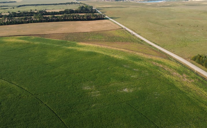 Pictures of Land property located at 552nd Avenue, Pierce, NE 68767 for sales - image #1