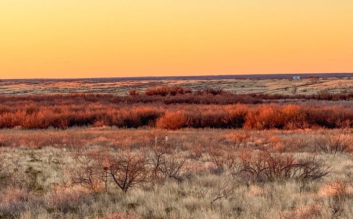 Pictures of Land property located at SW Corner of Hwy 380 & County Road 595, Brownfield, TX 79316 for sales - image #1
