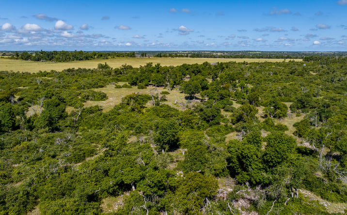 Pictures of Land property located at 875 Gypsum Mine Road, Fredericksburg, TX 78624 for sales - image #1
