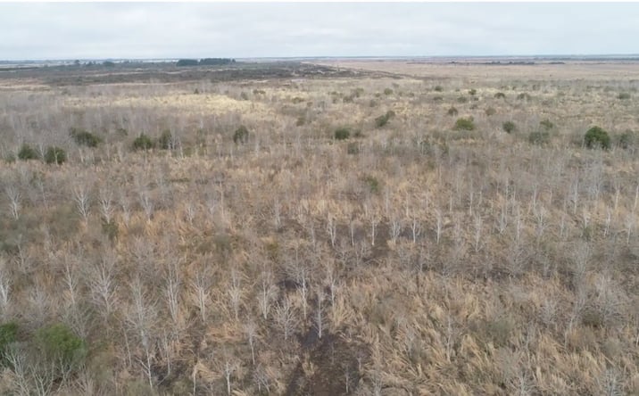 Pictures of Land property located at TBD Cal Cam Line Rd, Lake Charles, LA 70607 for sales - image #1