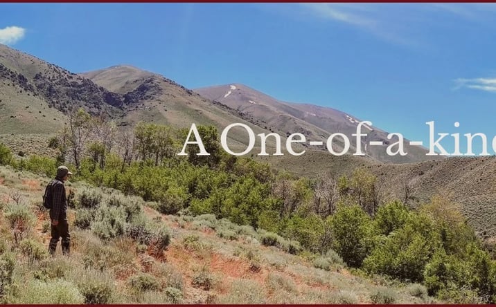 Pictures of Land property located at 54705 Grass Valley Road, Winnemucca, NV 89445 for sales - image #1