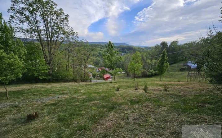 Pictures of Land, Multifamily property located at Grant St., Bluefield, VA 24605 for sales - image #1