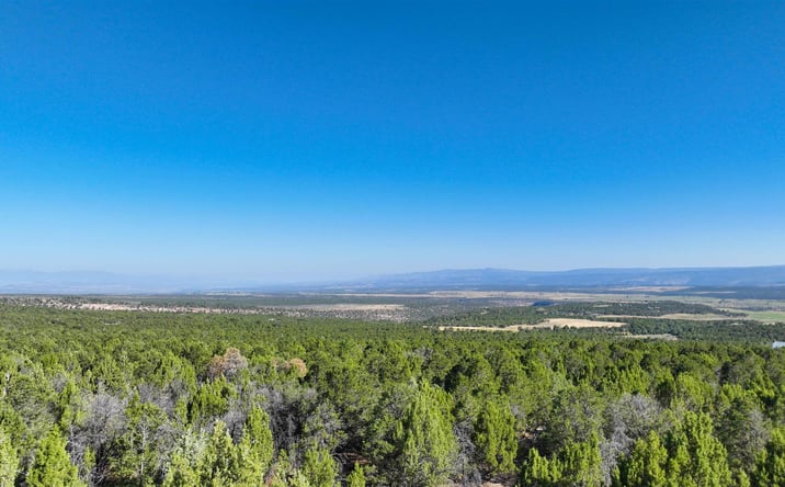 Pictures of Land property located at 246 La Mesa Vis Dr, Norwood, CO 81423 for sales - image #1