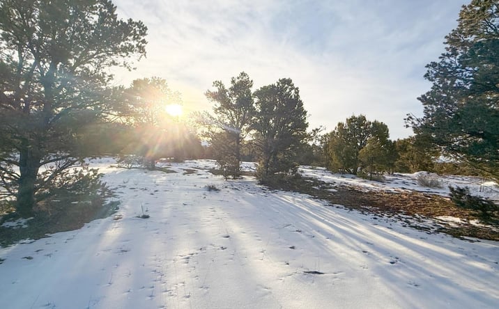 Pictures of Land property located at 1893 Cotton Road, Montrose, CO 81403 for sales - image #1