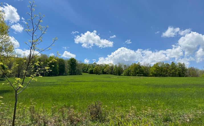 Pictures of Land property located at 164 Ray Cottone Road, Roxbury, NY 12474 for sales - image #1