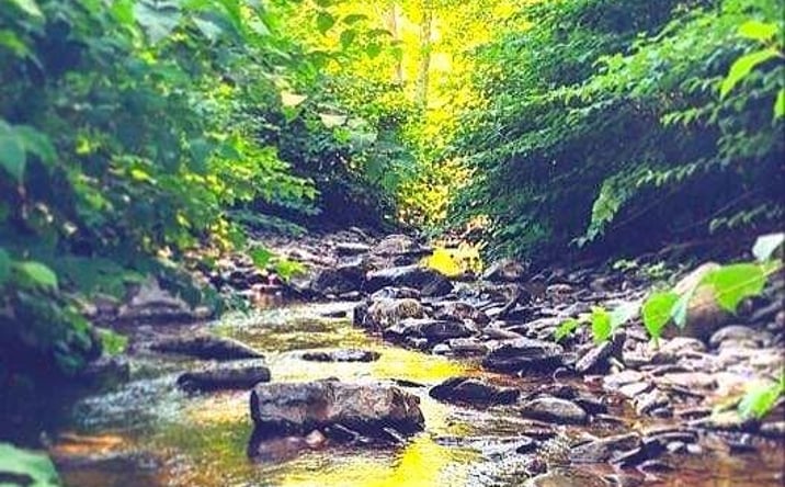 Pictures of Land property located at Wachter Blvd, Durham, NY 12423 for sales - image #1