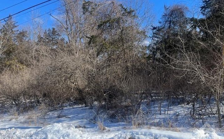 Pictures of Land property located at Giambalvo, Hudson, NY 12534 for sales - image #1