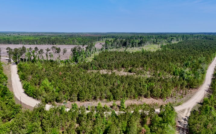 Pictures of Land property located at Tillman Cementery Road, Lumber City, GA 31549 for sales - image #1