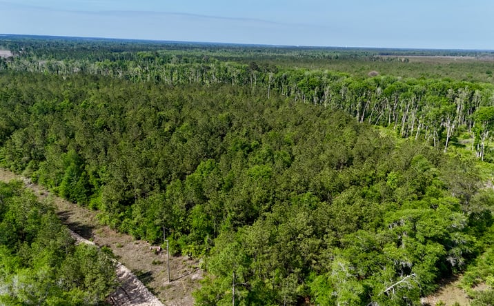 Pictures of Land property located at Tillman Cementery Road, Lumber City, GA 31549 for sales - image #1