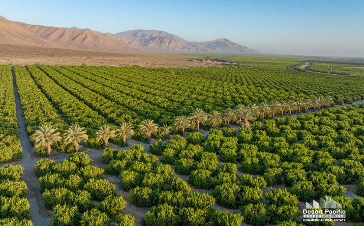 Pictures of Land property located at 87500 80th Avenue, Thermal, CA 92274 for sales - image #1