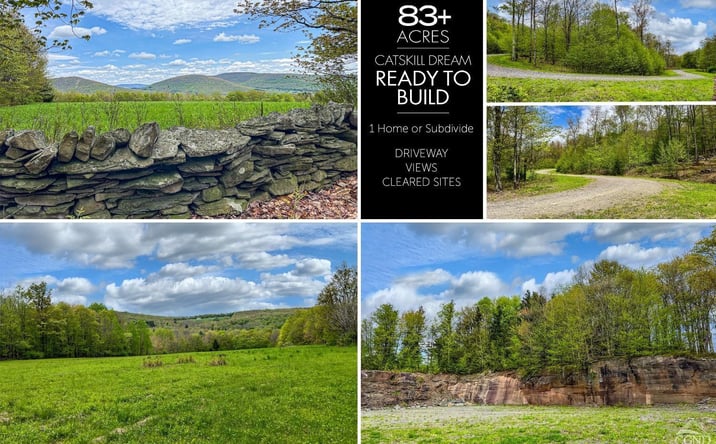 Pictures of Land property located at State Highway 28, Andes, NY 13731 for sales - image #1
