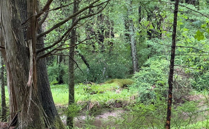 Pictures of Land property located at Whites Lane, Woodstock, NY 12498 for sales - image #1