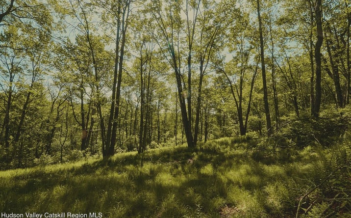 Pictures of Land property located at Benton Hollow Road, Liberty, NY 12754 for sales - image #1