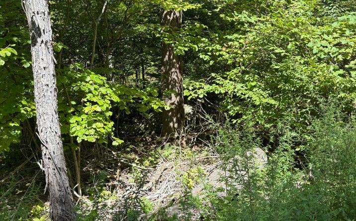 Pictures of Land, Special Purpose, Multifamily property located at Tbd Oak Ridge Road, Ellenville, NY 12428 for sales - image #1