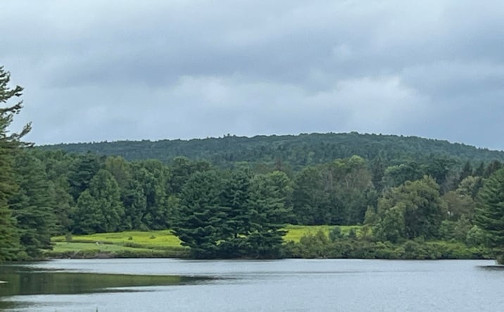 Pictures of Land property located at Tbd Todd Rd Road, Gilboa, NY 12076 for sales - image #1