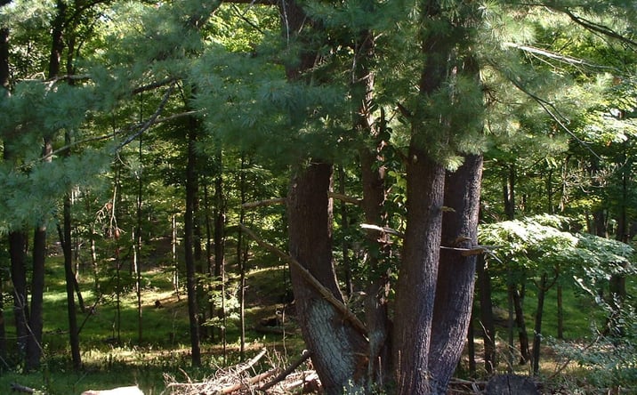 Pictures of Land, Special Purpose, Multifamily property located at 94 Miller Road Road, Hudson, NY 12534 for sales - image #1