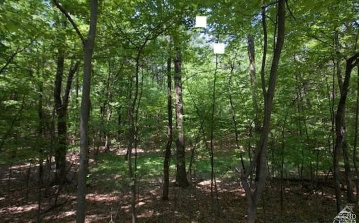 Pictures of Land property located at 325 Albany Turnpike, Nassau, NY 12123 for sales - image #1