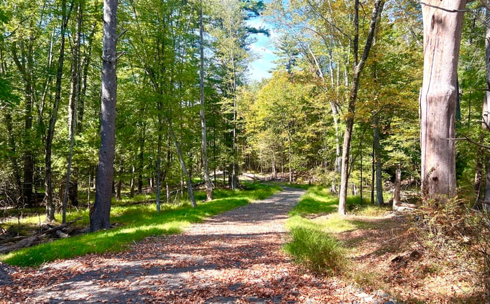 Pictures of Land property located at Tbd Wardwell Lane, Woodstock, NY 12498 for sales - image #1