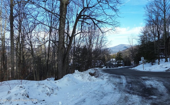 Pictures of Land property located at Club Road, Windham, NY 12496 for sales - image #1