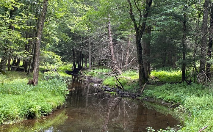 Pictures of Land, Multifamily property located at 239 Sundale Road, Accord, NY 12404 for sales - image #1
