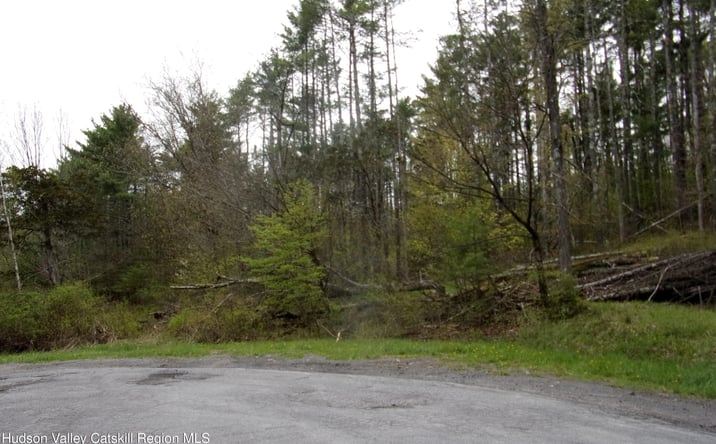 Pictures of Land, Special Purpose, Multifamily property located at 128 Klingermann Drive, Cairo, NY 12413 for sales - image #1