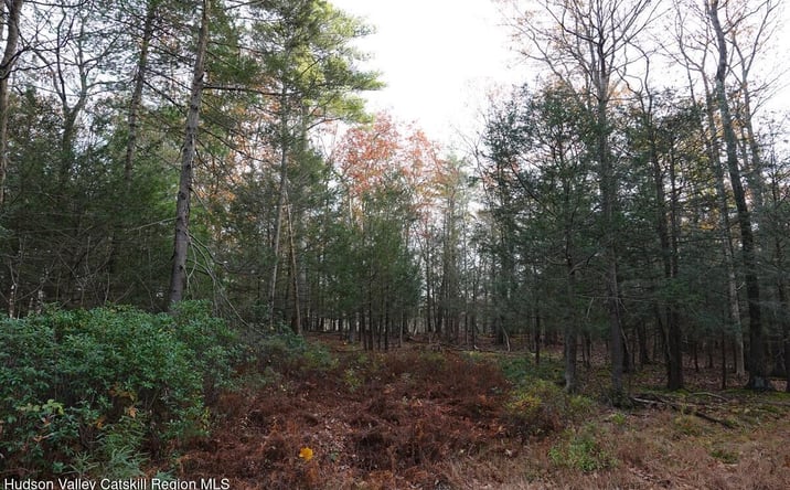 Pictures of Land property located at 736 Manorville Road, Saugerties, NY 12477 for sales - image #1