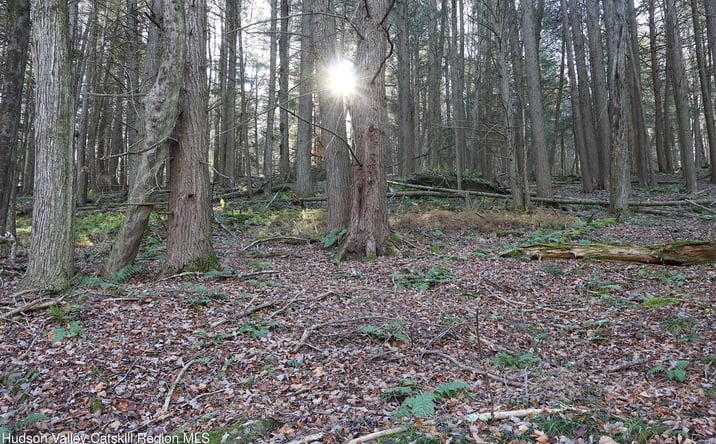 Pictures of Land, Multifamily property located at Tbd Hall Road, Margaretville, NY 12455 for sales - image #1