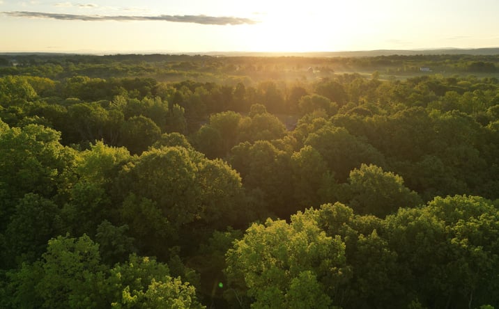 Pictures of Land property located at Lot 4 0 County Rt 6, Germantown, NY 12526 for sales - image #1