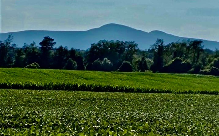 Pictures of Land property located at Route 9 S, Hudson, NY 12534 for sales - image #1