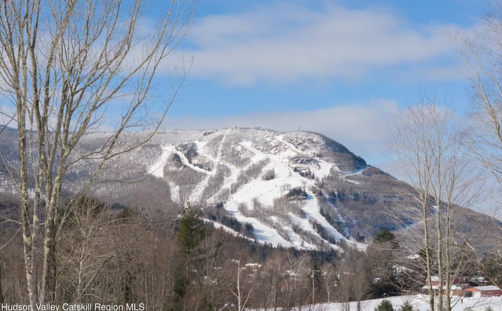Pictures of Land property located at Lot 2 Ruth Court, Hunter, NY 12442 for sales - image #1