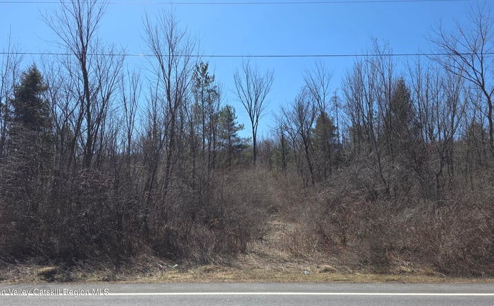 Pictures of Land property located at New York 145, Durham, NY 12423 for sales - image #1