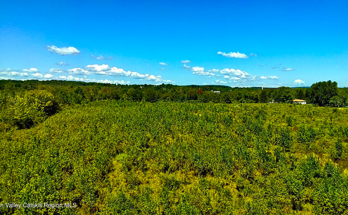 Pictures of Land, Mixed Use, Special Purpose, Multifamily property located at N Vernon Street, Athens, NY 12015 for sales - image #1