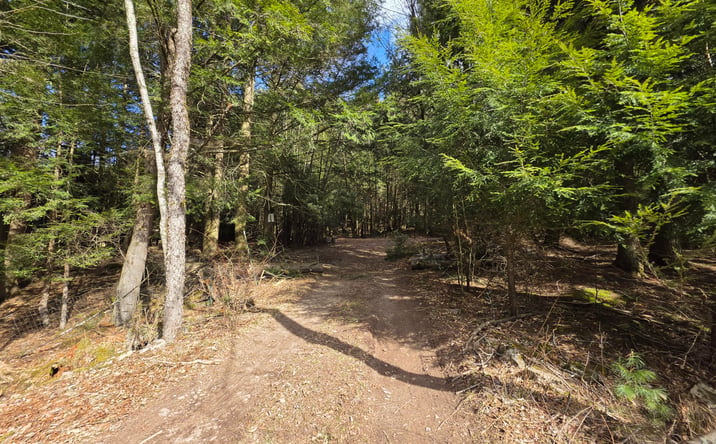 Pictures of Land, Special Purpose, Multifamily property located at Tbd Eagle Avenue, Mongaup Valley, NY 12762 for sales - image #1