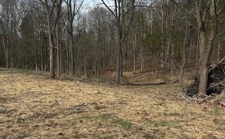 Pictures of Land property located at Lot 3 High Falls Road, Catskill, NY 12414 for sales - image #1