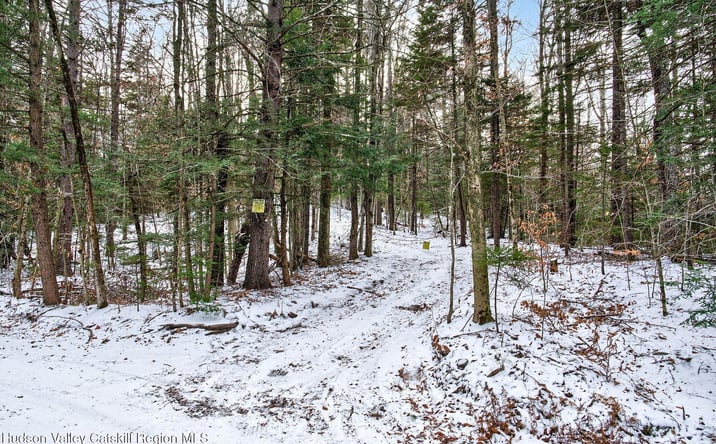 Pictures of Land, Special Purpose property located at Tbd Roaring Kill Road, Elka Park, NY 12427 for sales - image #1