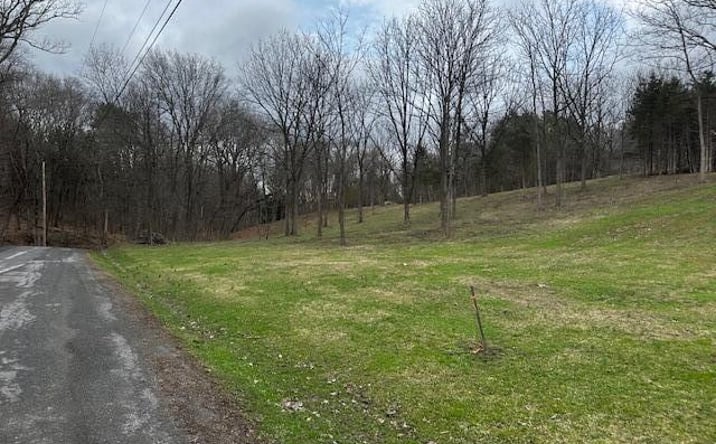 Pictures of Land property located at Tbd High Falls Road Road, Catskill, NY 12414 for sales - image #1