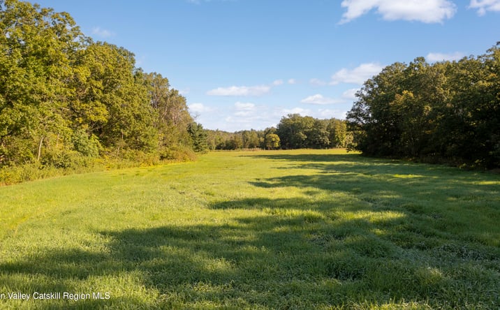 Pictures of Land property located at 161 Roundtop Road, Germantown, NY 12526 for sales - image #1