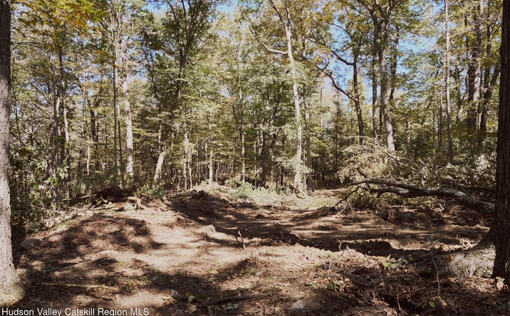 Pictures of Land property located at Lot 5 Flatbush Avenue, Kingston, NY 12401 for sales - image #1