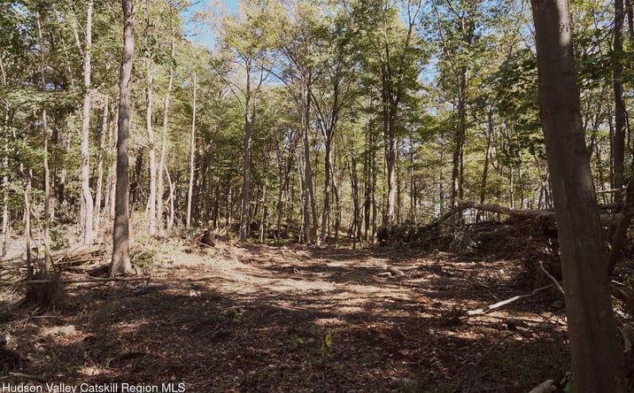 Pictures of Land property located at Off Flatbush Avenue, Kingston, NY 12401 for sales - image #1