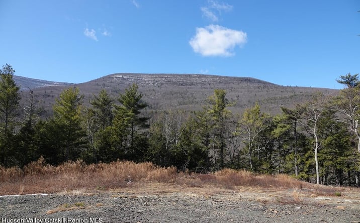 Pictures of Land property located at Tbd Manorville Road, Saugerties, NY 12477 for sales - image #1