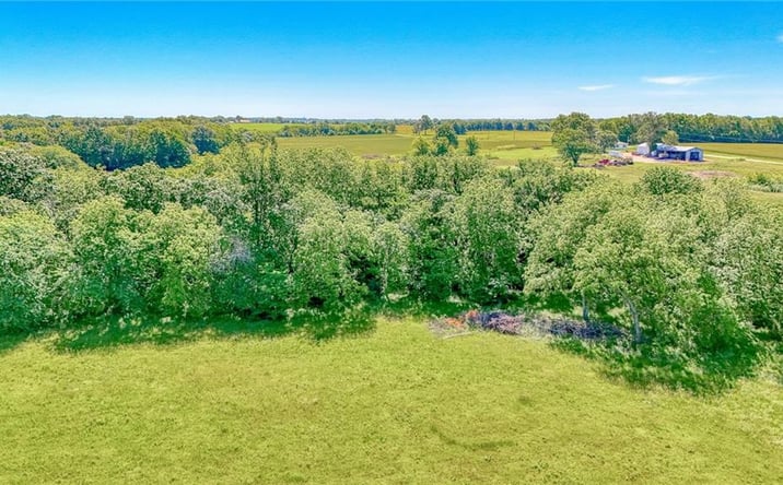 Pictures of Land property located at Tract 1 TBD SW State Hwy T Highway, Holden, MO 64040 for sales - image #1