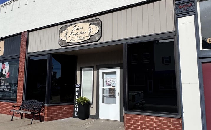 Pictures of Retail, Special Purpose, Business for Sale property located at 617 S Topeka AVE, Lyndon, KS 66451 for sales - image #1
