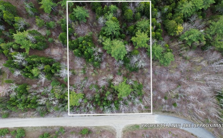 Pictures of Land property located at Lot 1 Bailey Mountain Road, Franklin, ME 04634 for sales - image #1